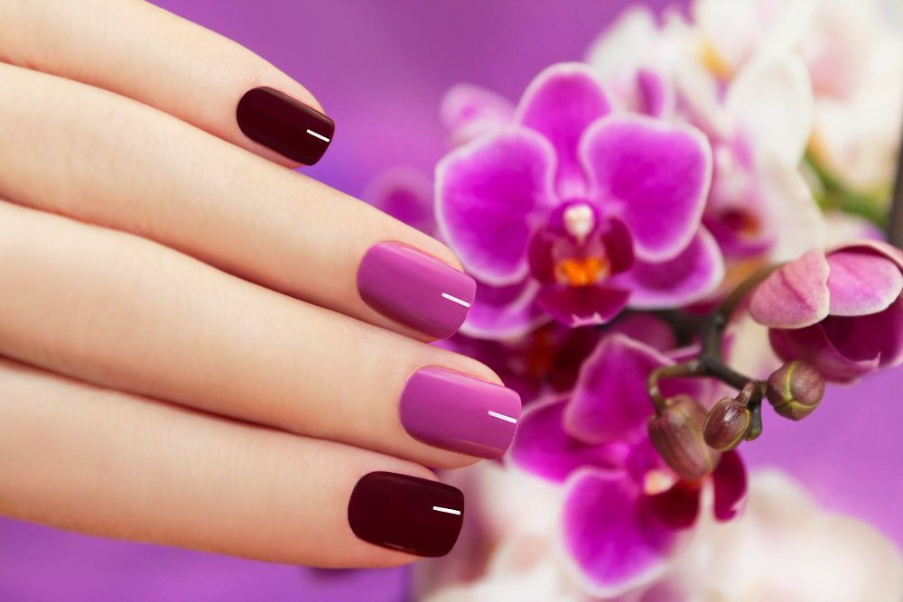 Close-up of a hand showing nails painted in dark burgundy and lavender against a purple orchid background.