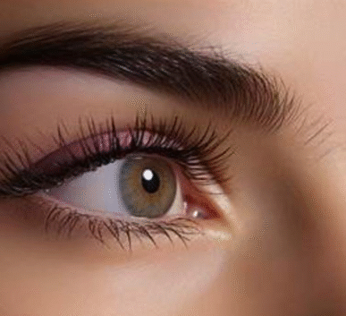 close-up of a brown-green eye with long lashes and groomed eyebrow, natural makeup.