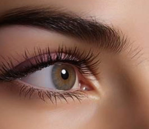 close-up of a brown-green eye with long lashes and groomed eyebrow, natural makeup.
