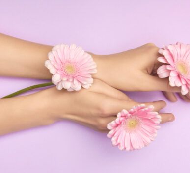 Two pale hands cradle three pink gerbera daisies against a lavender background, conveying a soft, floral aesthetic.