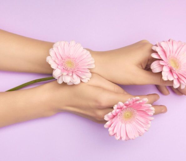 two pale hands cradle three pink gerbera daisies against a lavender background, conveying a soft, floral aesthetic.