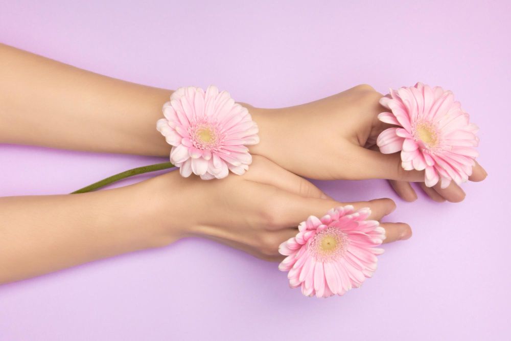 Two pale hands cradle three pink gerbera daisies against a lavender background, conveying a soft, floral aesthetic.